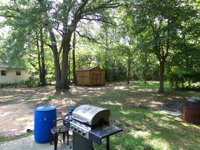 301 Mcgirts Bridge Road, East Laurinburg, NC 28352