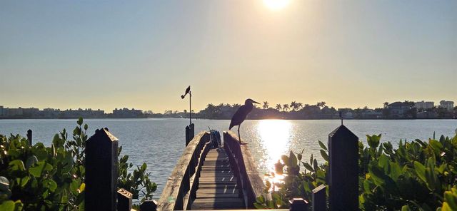 6970A PLACE DE LA PAIX 2B, South Pasadena, FL 33707