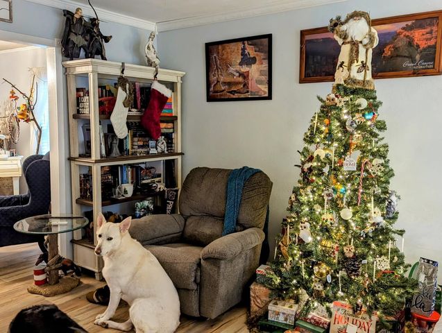 11385 84 Highway, Bismarck, AR 71929