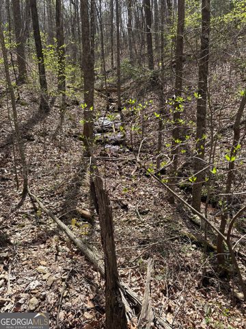 0 Laurel Branch, Dawsonville, GA 30534