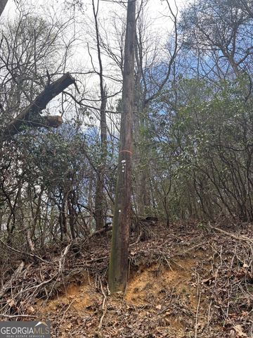 0 Laurel Branch, Dawsonville, GA 30534