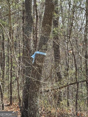 0 Laurel Branch, Dawsonville, GA 30534