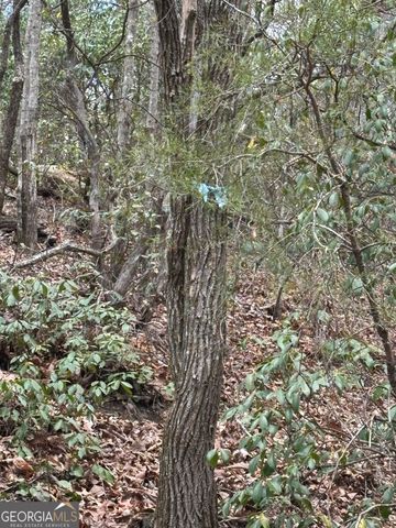 0 Laurel Branch, Dawsonville, GA 30534
