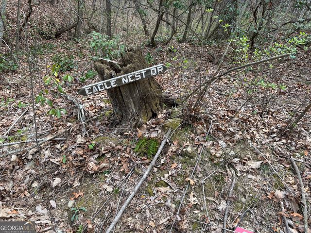 0 Laurel Branch, Dawsonville, GA 30534