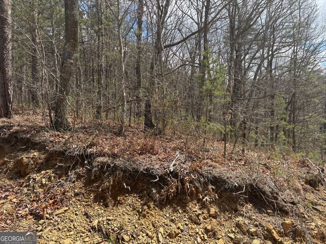 0 Laurel Branch, Dawsonville, GA 30534