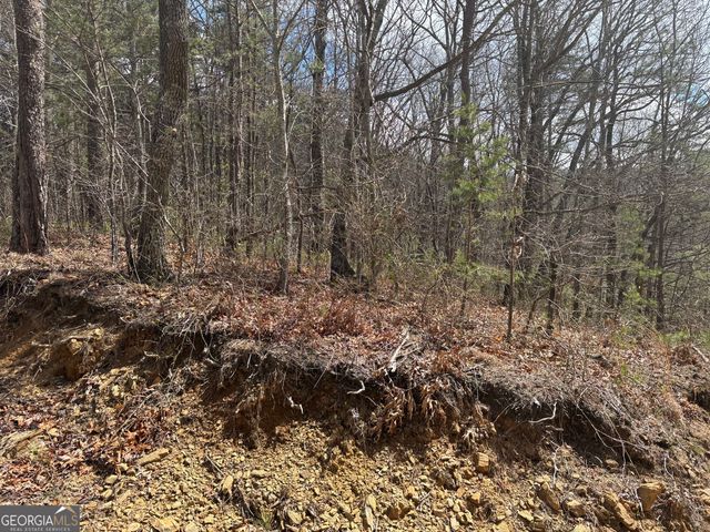 0 Laurel Branch, Dawsonville, GA 30534