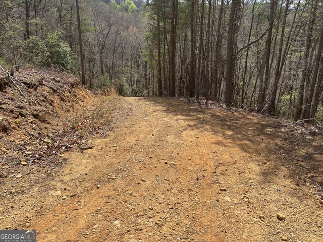 0 Laurel Branch, Dawsonville, GA 30534