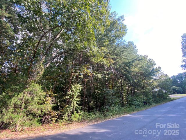 1301 Shadowfax Wynd None 51, Hickory, NC 28602