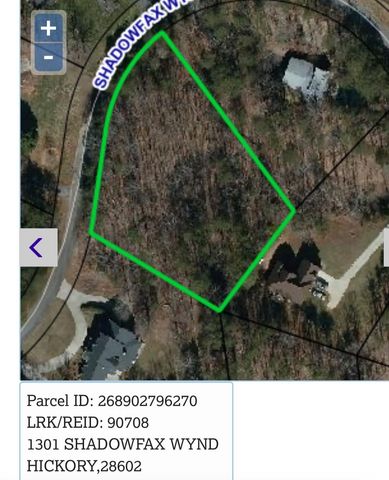 1301 Shadowfax Wynd None 51, Hickory, NC 28602