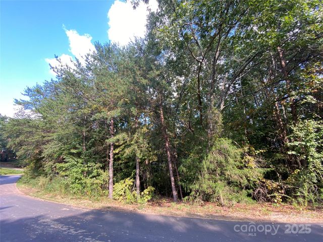 1301 Shadowfax Wynd None 51, Hickory, NC 28602