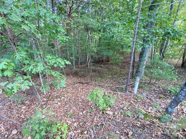 1301 Shadowfax Wynd None 51, Hickory, NC 28602