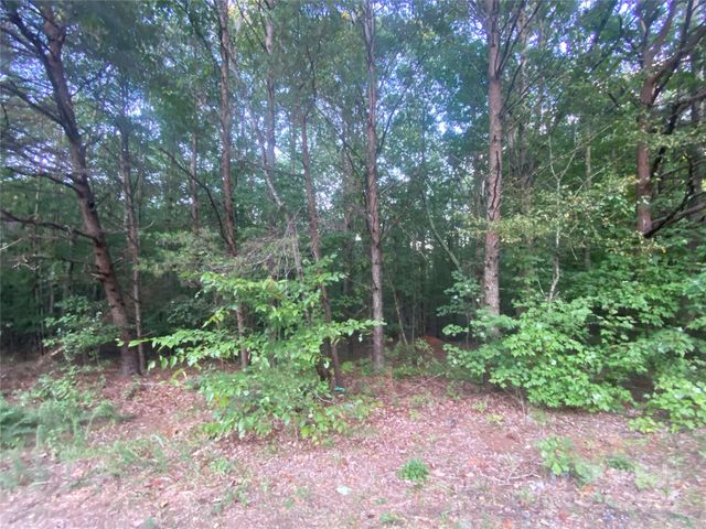 1301 Shadowfax Wynd None 51, Hickory, NC 28602