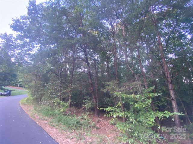1301 Shadowfax Wynd None 51, Hickory, NC 28602