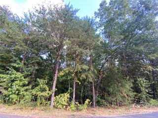 1301 Shadowfax Wynd None 51, Hickory, NC 28602
