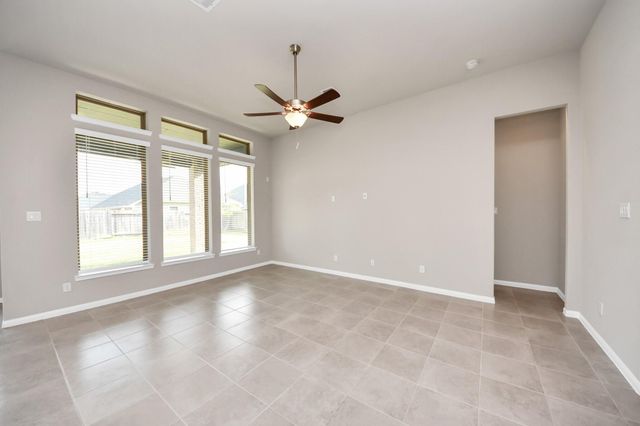 17314 Willow Lexington Court, Hockley, TX 77447