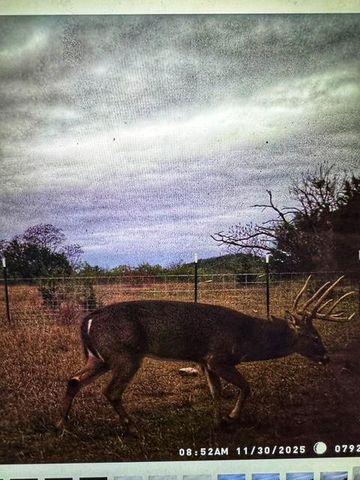 000 County Road 2699, Goldthwaite, TX 76853