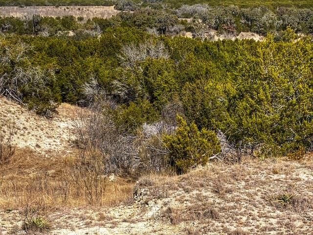 000 County Road 2699, Goldthwaite, TX 76853