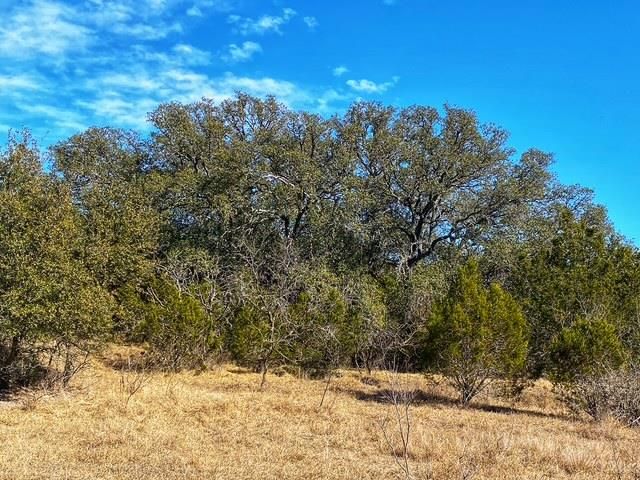 000 County Road 2699, Goldthwaite, TX 76853