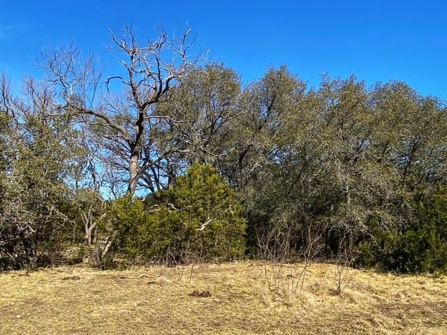 000 County Road 2699, Goldthwaite, TX 76853