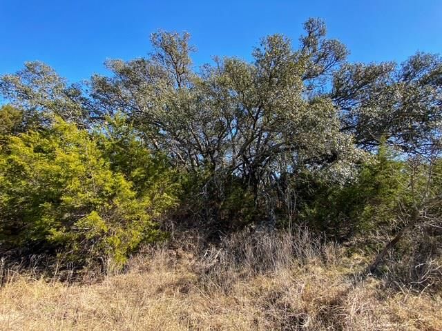 000 County Road 2699, Goldthwaite, TX 76853