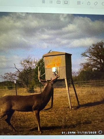 000 County Road 2699, Goldthwaite, TX 76853