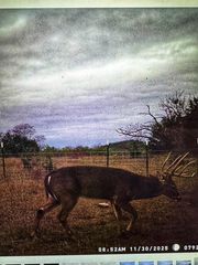 000 County Road 2699, Goldthwaite, TX 76853