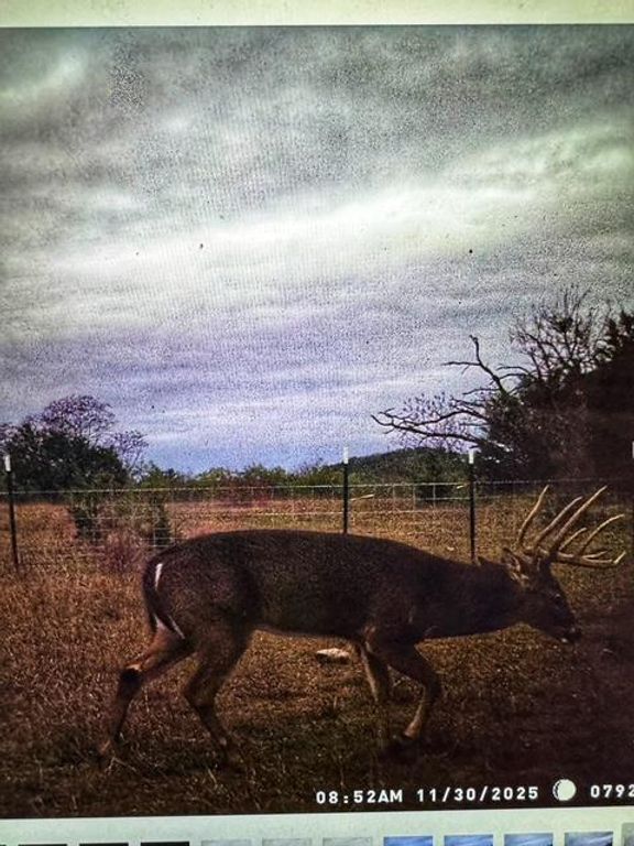 000 County Road 2699, Goldthwaite, TX 76853