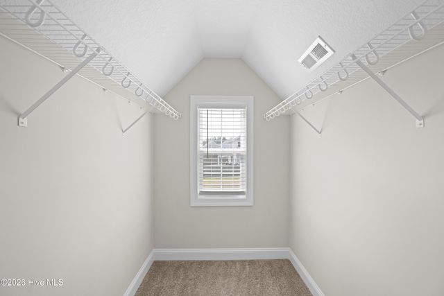 723 Kiwi Stone Circle, Jacksonville, NC 28546