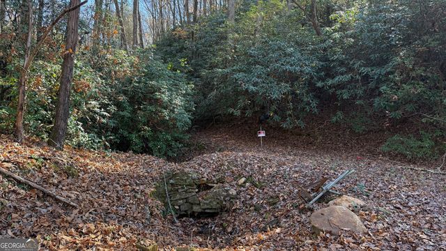 0 Goshen Road, Clarkesville, GA 30523