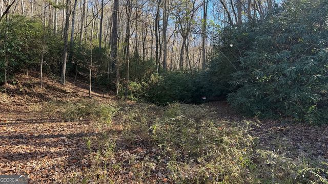 0 Goshen Road, Clarkesville, GA 30523