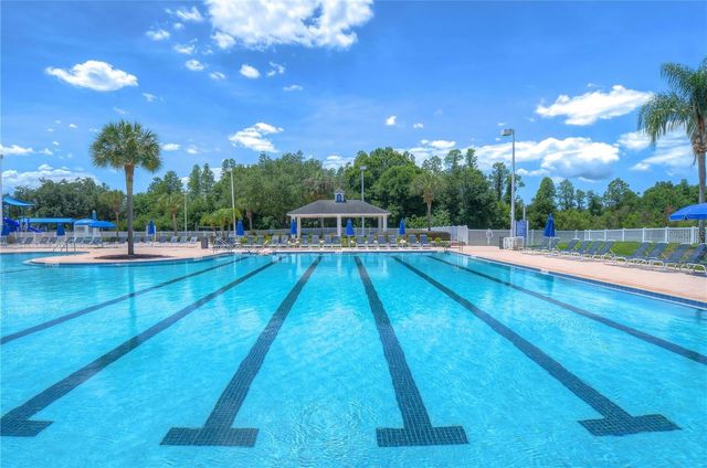 19312 SEA MIST LANE, Lutz, FL 33558