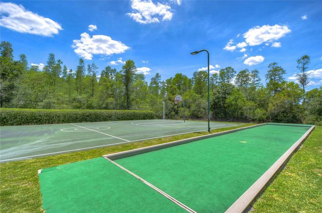 19312 SEA MIST LANE, Lutz, FL 33558