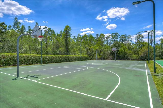 19312 SEA MIST LANE, Lutz, FL 33558