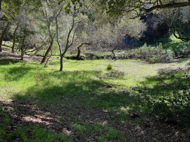 15397 Kennedy Road, Los Gatos, CA 95032