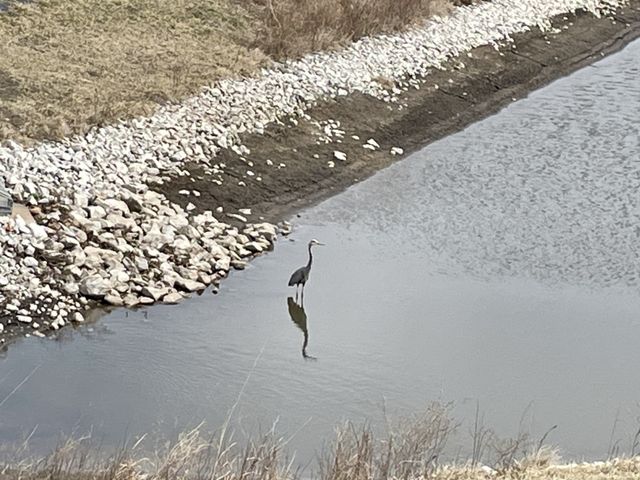 9923 Watermeadow Circle, Johnston, IA 50131