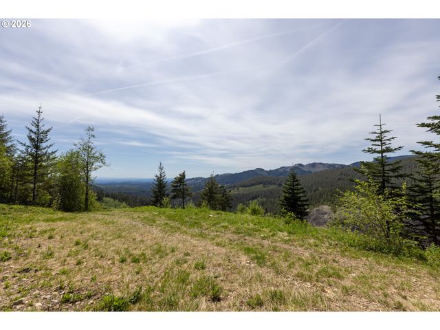 Snag Mountain Rd, Washougal, WA 98671