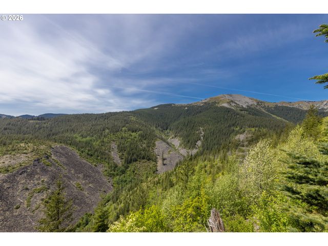 Snag Mountain Rd, Washougal, WA 98671