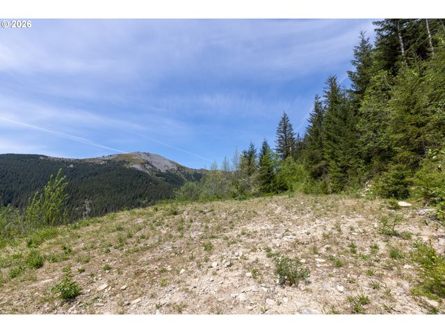 Snag Mountain Rd, Washougal, WA 98671