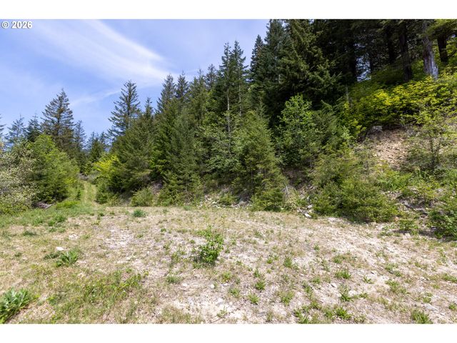 Snag Mountain Rd, Washougal, WA 98671