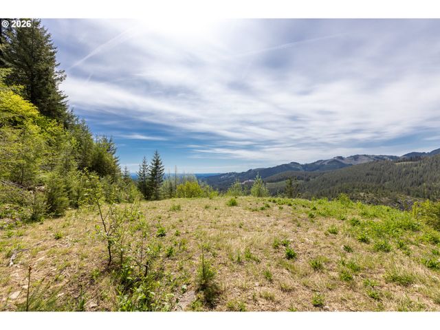 Snag Mountain Rd, Washougal, WA 98671