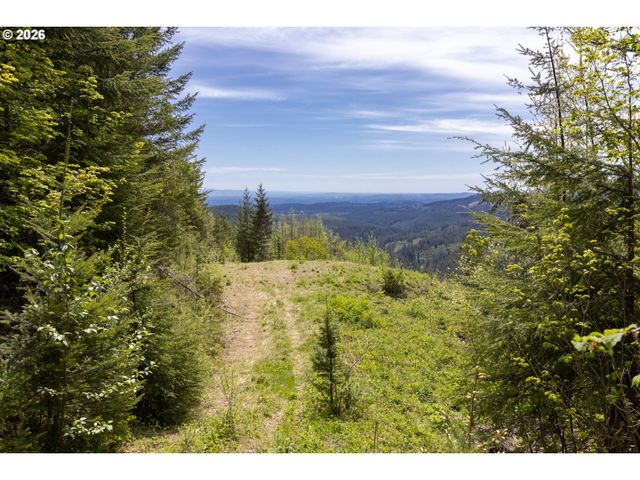 Snag Mountain Rd, Washougal, WA 98671