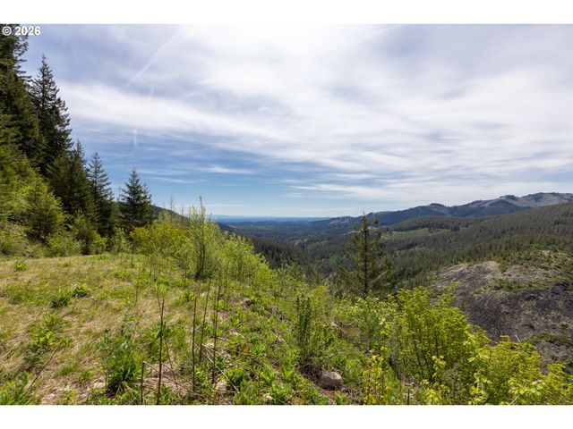 Snag Mountain Rd, Washougal, WA 98671