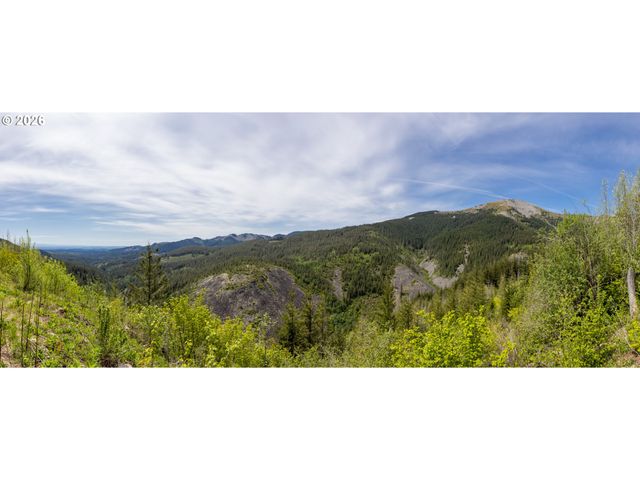 Snag Mountain Rd, Washougal, WA 98671