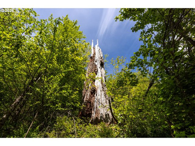 Snag Mountain Rd, Washougal, WA 98671