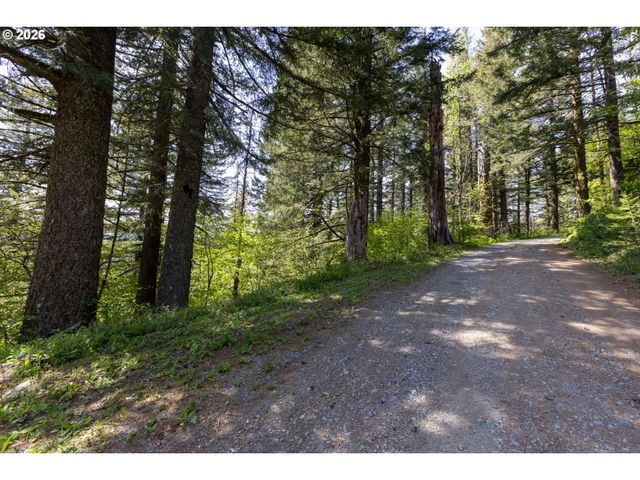 Snag Mountain Rd, Washougal, WA 98671