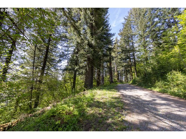 Snag Mountain Rd, Washougal, WA 98671