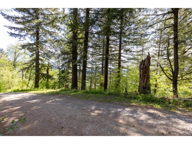 Snag Mountain Rd, Washougal, WA 98671