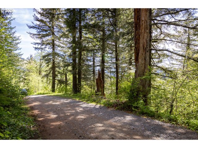 Snag Mountain Rd, Washougal, WA 98671