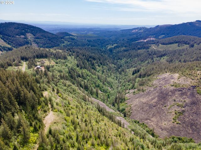 Snag Mountain Rd, Washougal, WA 98671
