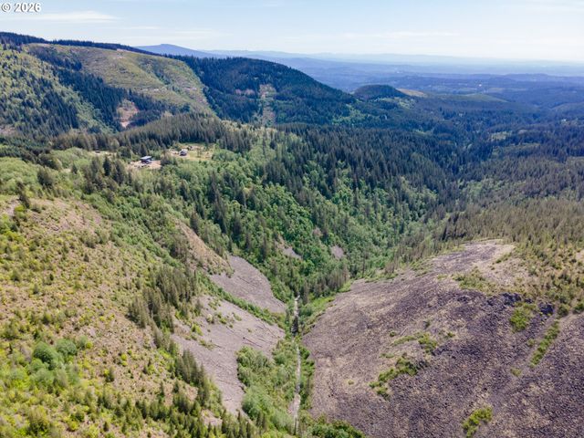 Snag Mountain Rd, Washougal, WA 98671